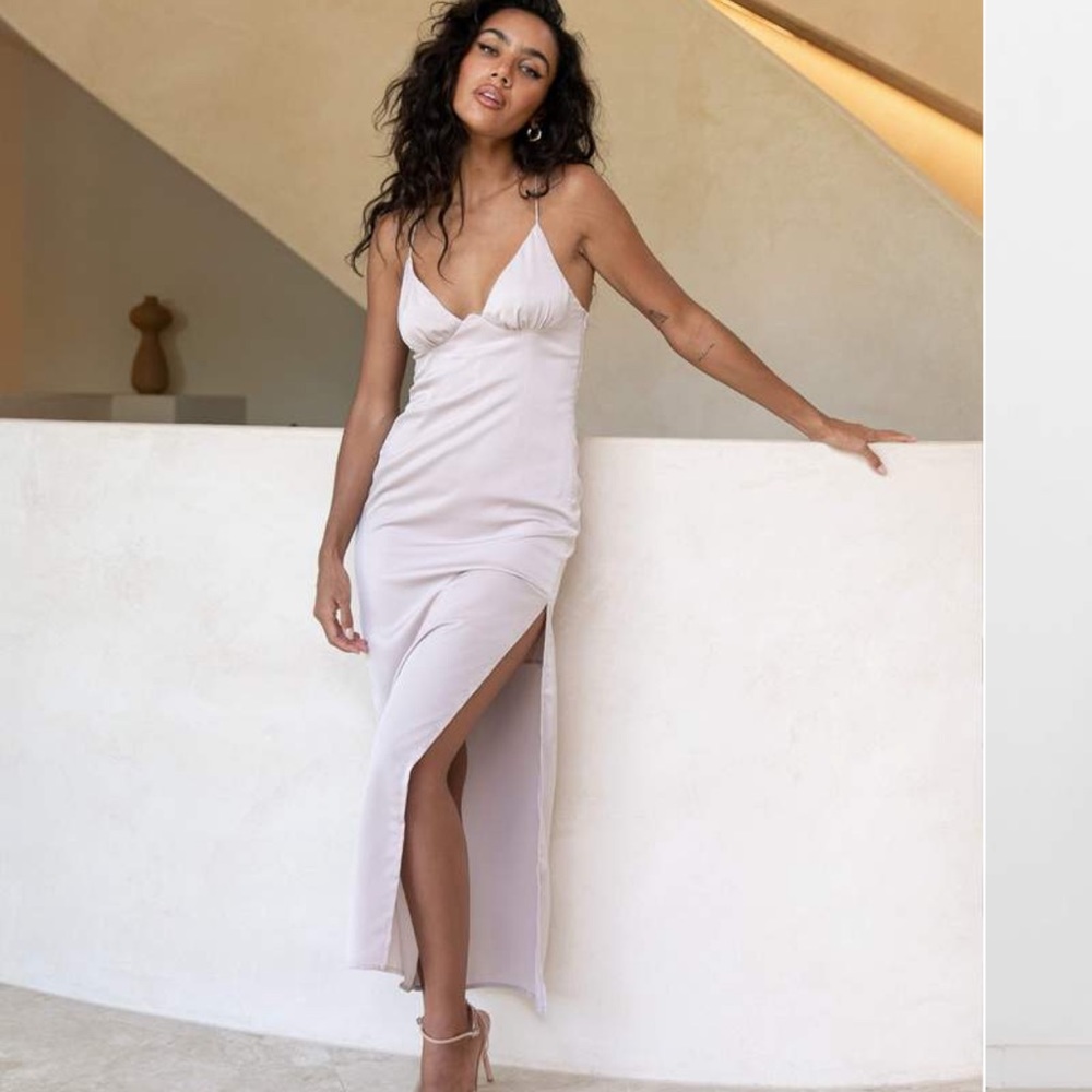 NWT ximena blush silk dress